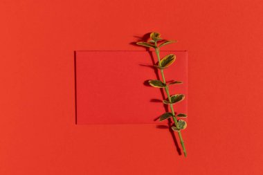 Kırmızı arka planda bitki dalı olan kırmızı tebrik kartı. Minimalist düzlük.