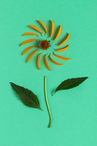 Yellow flower on green background. In minimalism style.