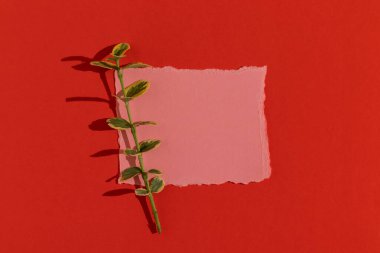 Kırmızı arka planda pembe tebrik kartı. Üst görünüm.