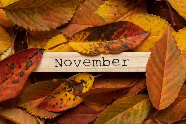 Деревянная Доска Надписью Ноябрь Сухих Осенних Листьях Стоковое Фото