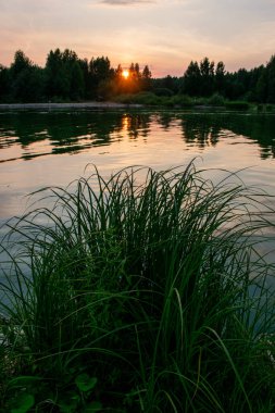 Volga Nehri 'nde ılık yaz günbatımı