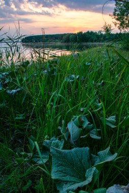Volga Nehri 'nde ılık yaz günbatımı