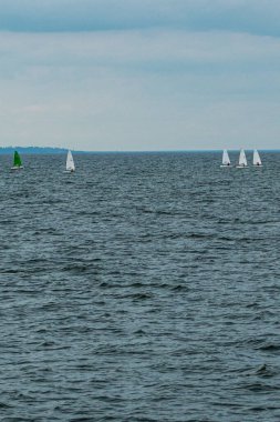 Volga Nehri 'nde çocuk yelkenli yarışı.