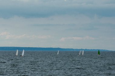 Volga Nehri 'nde çocuk yelkenli yarışı.