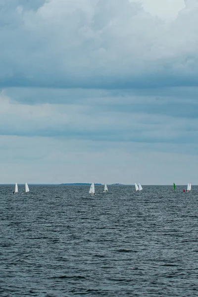 Barns Segling Regatta Volga Floden — Stockfoto