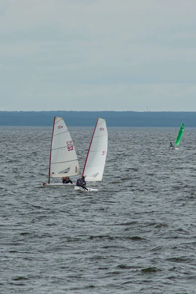 Children Sailing Regatta Volga River — Stock Photo, Image