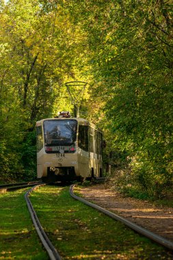 Tramvay güzel bir sonbahar parkında hareket eder.