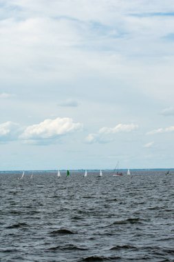 Volga Nehri 'nde çocuk yelkenli yarışı.