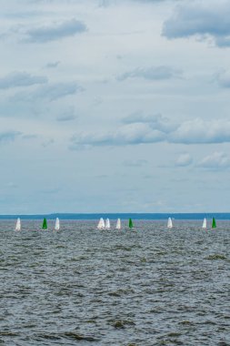 Volga Nehri 'nde çocuk yelkenli yarışı.