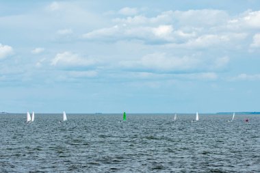 Volga Nehri 'nde çocuk yelkenli yarışı.