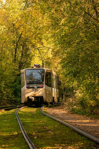 Tramvaj Pohybuje Krásným Podzimním Parkem — Stock fotografie