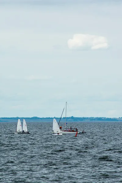 Zeilregatta Voor Kinderen Wolga Rivier — Stockfoto