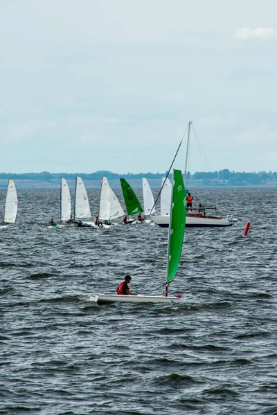 Children Sailing Regatta Volga River — Stock Photo, Image