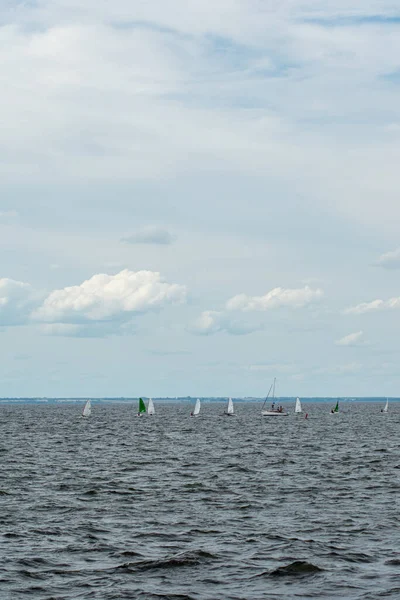 Régate Voile Pour Enfants Sur Volga — Photo