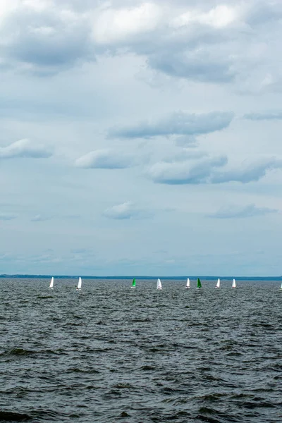 Barns Segling Regatta Volga Floden — Stockfoto