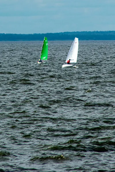 Régate Voile Pour Enfants Sur Volga — Photo