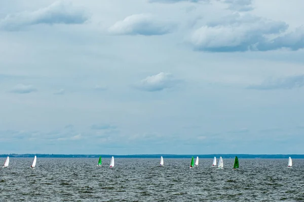 Volga Nehri Nde Çocuk Yelkenli Yarışı — Stok fotoğraf