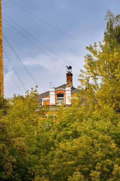 Mooi Oud Huis Tussen Bomen — Stockfoto