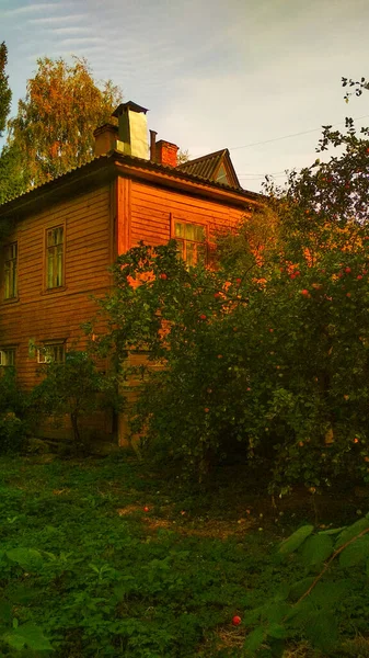 Apfelbäume Wachsen Garten Neben Dem Haus — Stockfoto