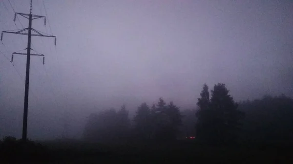 畑の霧の夜 — ストック写真