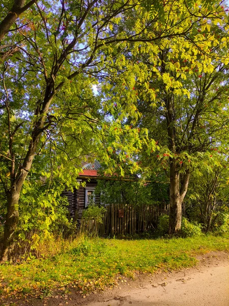 Schönes Gemütliches Holzhaus Dorf — Stockfoto