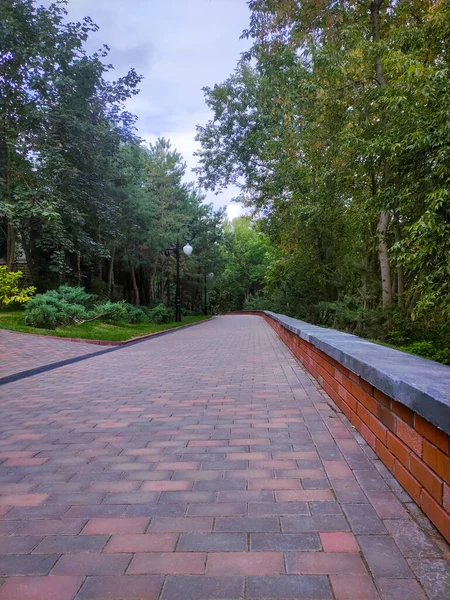 Allée Pédestre Dans Parc Été — Photo