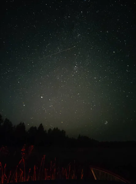 Nuit Étoilée Dans Grand Champ — Photo