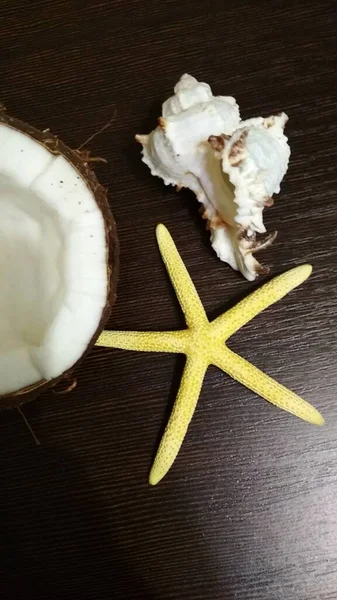 Conchas Yacen Sobre Una Mesa Madera — Foto de Stock