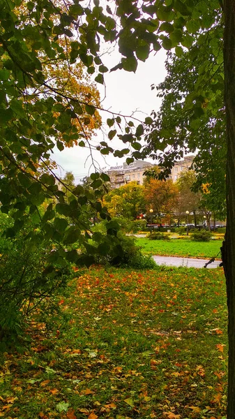 Πάρκο Της Πόλης Φθινόπωρο — Φωτογραφία Αρχείου