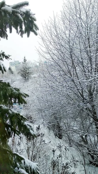 Snö Park Staden — Stockfoto