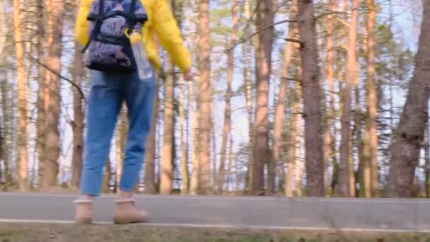 Resa och lifta koncept. Ung kvinna turist med ryggsäck i gul jacka med termos i händerna går längs vägen längs talldungen. Bilen kör förbi. Selektivt fokus. Långsamma rörelser, 4k — Stockvideo