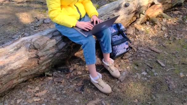 Visa av okänd kvinna som använder laptop medan du sitter i skogen på log på solig höst eller vår dag. Fjärrarbete eller studiekoncept. Flickan skriver text på datorn, ryggsäcken ligger bredvid loggen. Långsamma rörelser, 4k — Stockvideo