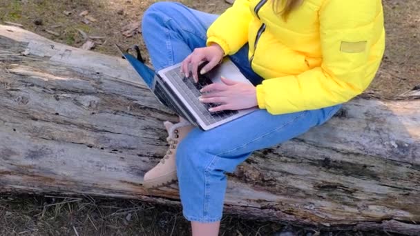 Werk of studie op afstand. Een bovenaanzicht van de vrouw met behulp van een laptop zittend op een boomstam in een geel jasje en spijkerbroek. Meisje typt snel. 4k — Stockvideo