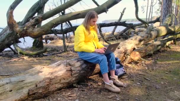 Nedflyttning eller frilansande. En ung kvinna använder en bärbar dator sittandes på en stock eller fallit träd i skogen mot bakgrund av en flod på en solig dag. Flickan bär en gul jacka. jeans och stövlar. 4k — Stockvideo