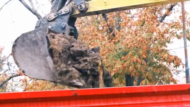Grävmaskin skopa häller jord i röd behållare, närbild, slow motion, 4k — Stockvideo