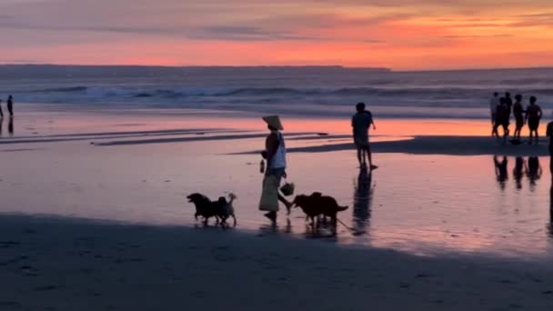 Människor vid solnedgången mot bakgrund av Indiska oceanen på stranden. pittoreska färgglada solnedgång. Mannen med konformad traditionell balinesisk hatt rastar sina hundar på stranden. Bali, Indonesien, 1 april 2022 — Stockvideo