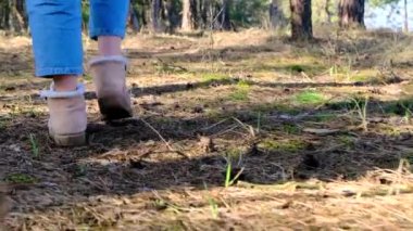 Gezinti. Bahar ormanlarında yürüyen güneş ışınlı insan bacakları, koniler ve yere düşen iğneler. Ağır çekim, 4K. Arka plan, kapat