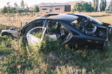 Araba çöplüğü, hurda metal. Hurdalıkta terk edilmiş eski bir arabanın içinde çimenler filizleniyor ve örümcek ağları büyüyor. Güneş metalden yansıyor..