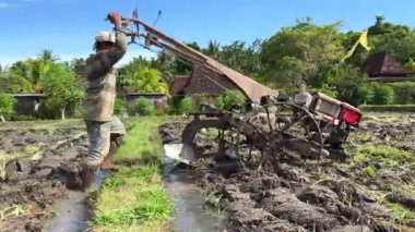 Hasat et. Bilinmeyen bir adam, pirinç ekmek için tarla süren bir el traktörü ya da sabanla toprak yetiştiriyor. Çiftçilik. Bali, Endonezya, 15 Haziran 2022