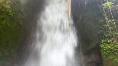 Close-up of powerful raging Sumampan waterfall with turbulent water. Crystal clear stream of glacial water falls from cliff. View from below. 4K Video. Ubud, Bali, Indonesia.