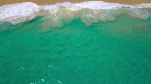 Widok Lotu Ptaka Czystą Piaszczystą Plażę Wybrzeże Oceanu Indyjskiego Błękitne — Wideo stockowe
