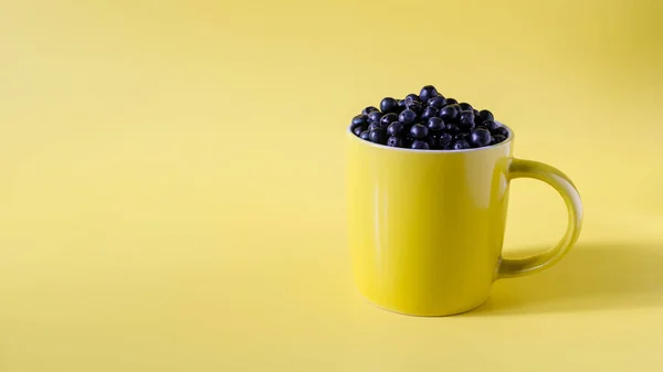 Blaubeeren Einem Gelben Keramikbecher Auf Gelbem Hintergrund Dunkle Beeren Einer — Stockfoto