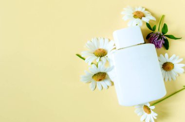 Papatya ve yonca kır çiçekleri ve renkli arka planda beyaz bir şişe. Sarı arka planda çiçekler ve kozmetikler metin için bir yer