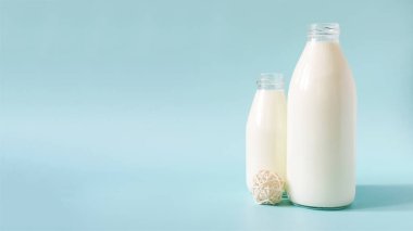 Arka planda iki bardak süt. Banner litre ve cam şişelerde 0.5 litre süt renkli bir arka planda metin için