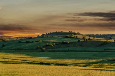 Gün batımında tepeden ağaçlarla ayrılmış tarlalar, altın saat..
