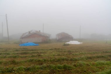 Trabzon 'daki Haldizen ve Karaster Hills, Karadeniz bölgesi, Türkiye