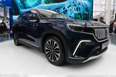 Ankara, Türkiye - 31 Mart: Ankara ECO İklim Zirvesinde TOGG arabası yeşil otomobil olarak kullanıldı. Türkiye Otomobil Girişim Grubu, kısaca TOGG, Türkiye merkezli otomobil üreticisi firma..