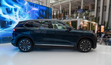 Ankara, Türkiye - 31 Mart: Ankara ECO İklim Zirvesinde TOGG arabası yeşil otomobil olarak kullanıldı. Türkiye Otomobil Girişim Grubu, kısaca TOGG, Türkiye merkezli otomobil üreticisi firma..