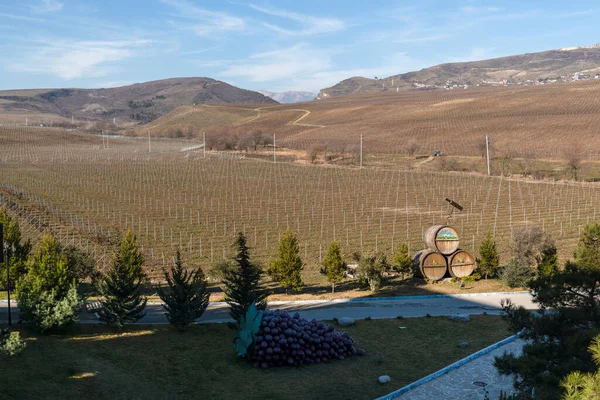 Шамахы Азербайджан Января 2022Г Виноградники Этого Города Славятся Своим Вином — стоковое фото