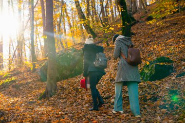 Ağaçlardan ve arka plandan gelen güneş ışınları, Sevengöller Milli Parkı 'nda (Yedigoller milli parki), Bolu, Türkiye' de sonbahar mevsiminde ormanda yürüyen iki kadının görüntüsü.